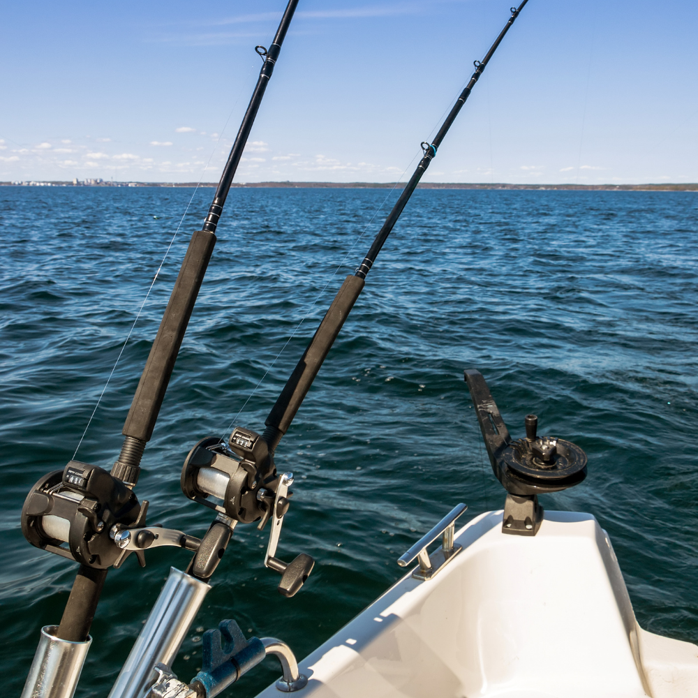 Fishing Tour
