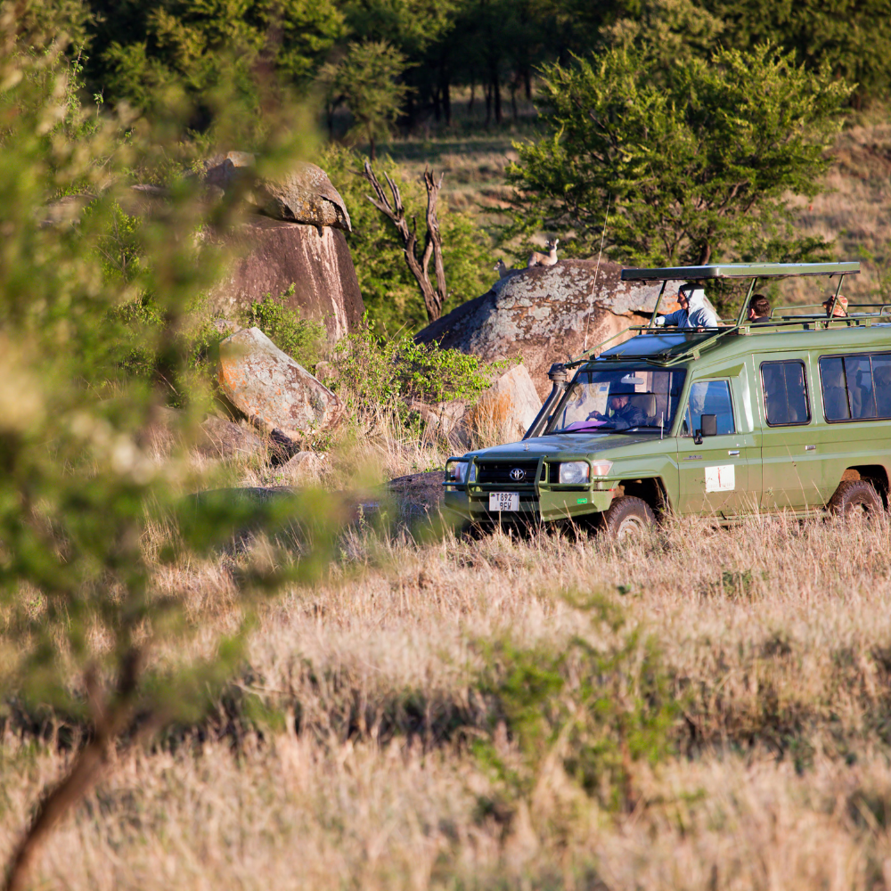 Jeep Safari