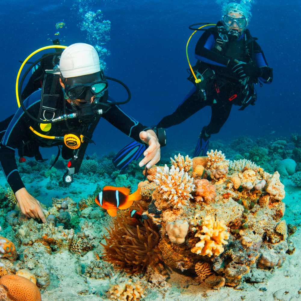 Scuba Diving